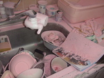 20070510a03.jpg