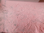 20070510a04.jpg