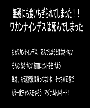 20070831a148.jpg