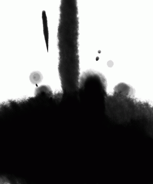 20070831a158.gif